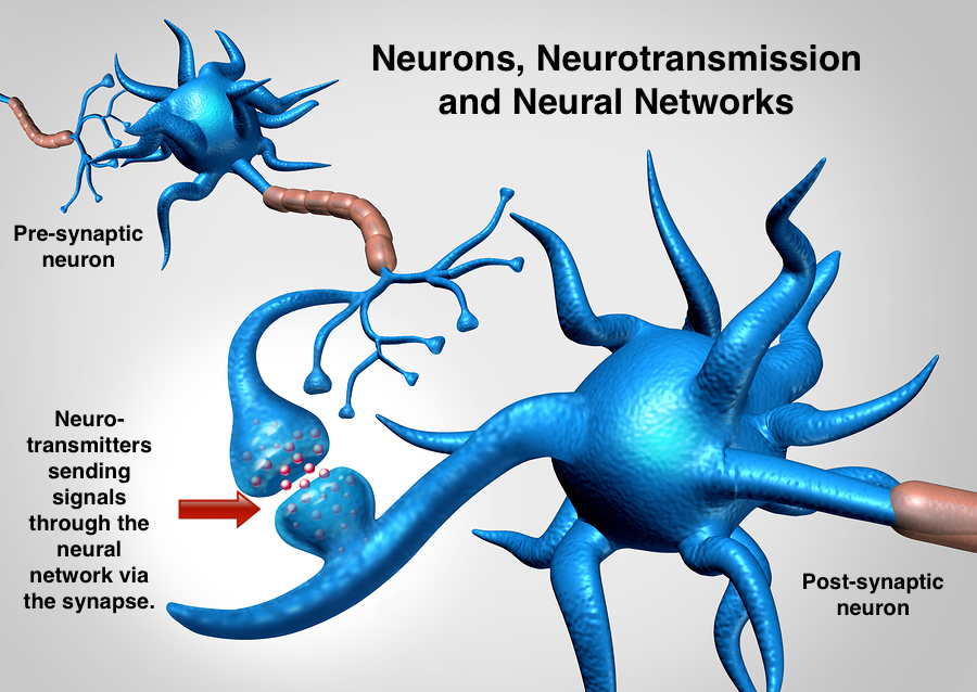 Neuroscience Influences Abm Health Services